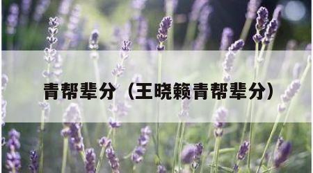 青帮辈分（王晓籁青帮辈分）