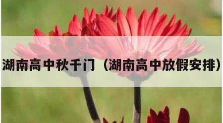 湖南高中秋千门（湖南高中放假安排）