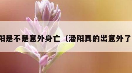 潘阳是不是意外身亡（潘阳真的出意外了吗）