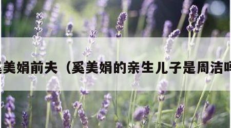 奚美娟前夫（奚美娟的亲生儿子是周洁吗）