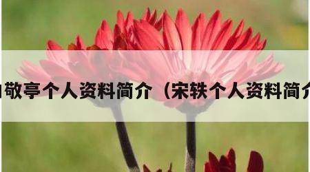 白敬亭个人资料简介（宋轶个人资料简介）