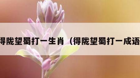 得陇望蜀打一生肖（得陇望蜀打一成语）