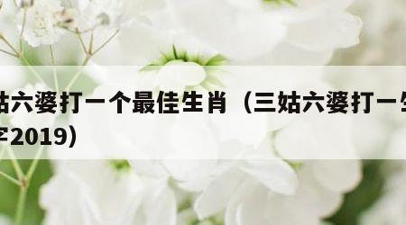 三姑六婆打一个最佳生肖（三姑六婆打一生肖数字2019）