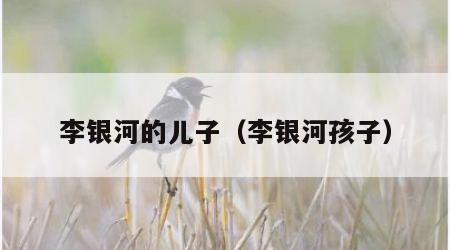 李银河的儿子（李银河孩子）