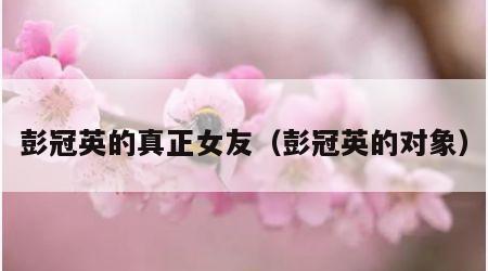 彭冠英的真正女友（彭冠英的对象）