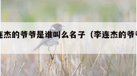 李连杰的爷爷是谁叫么名子（李连杰的爷爷叫啥）