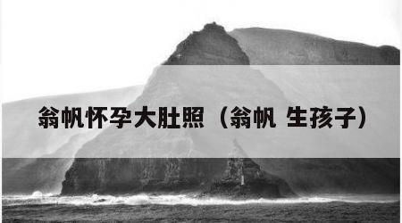 翁帆怀孕大肚照（翁帆 生孩子）