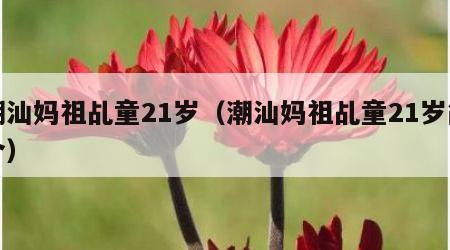 潮汕妈祖乩童21岁（潮汕妈祖乩童21岁简介）