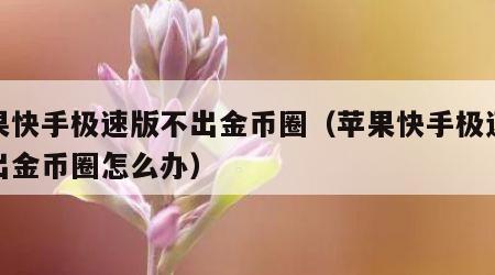 苹果快手极速版不出金币圈（苹果快手极速版不出金币圈怎么办）
