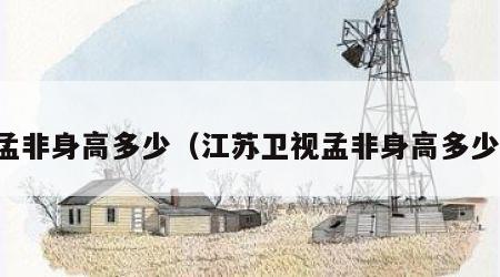 孟非身高多少（江苏卫视孟非身高多少）