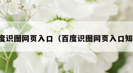 百度识图网页入口（百度识图网页入口知乎）