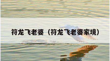 符龙飞老婆（符龙飞老婆家境）