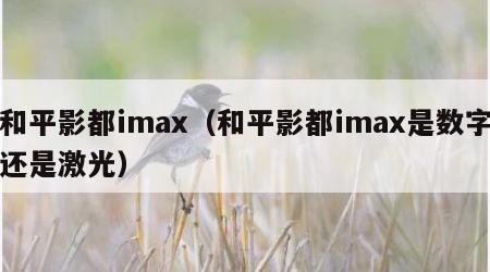 和平影都imax（和平影都imax是数字还是激光）