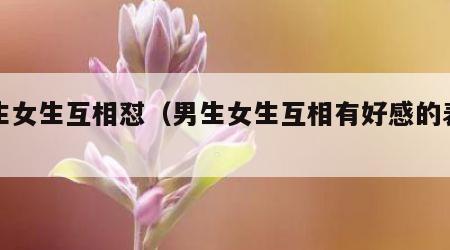 男生女生互相怼（男生女生互相有好感的表现）