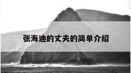 张海迪的丈夫的简单介绍