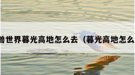 魔兽世界暮光高地怎么去（暮光高地怎么走）