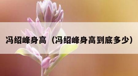 冯绍峰身高（冯绍峰身高到底多少）