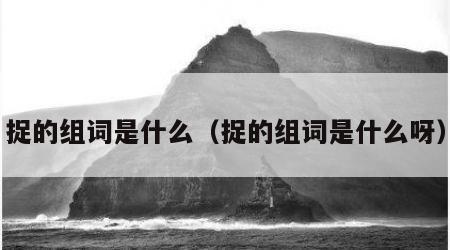 捉的组词是什么（捉的组词是什么呀）