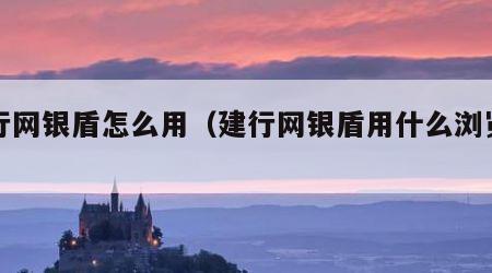 建行网银盾怎么用（建行网银盾用什么浏览器）