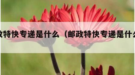 邮政特快专递是什么（邮政特快专递是什么意思）