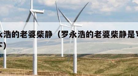 罗永浩的老婆柴静（罗永浩的老婆柴静是穹顶之下）