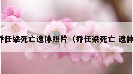 乔任梁死亡遗体照片（乔任梁死亡 遗体）