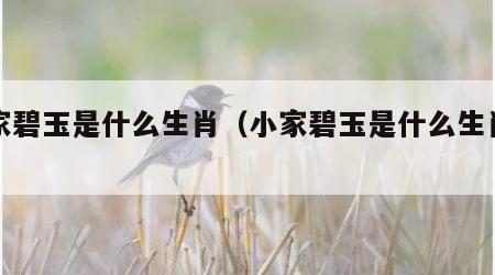 小家碧玉是什么生肖（小家碧玉是什么生肖解）