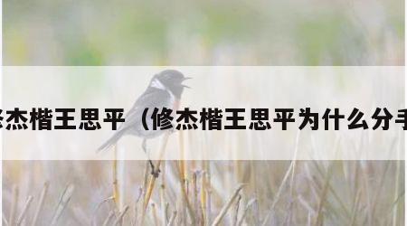 修杰楷王思平（修杰楷王思平为什么分手）