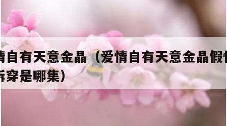 爱情自有天意金晶（爱情自有天意金晶假怀孕被拆穿是哪集）