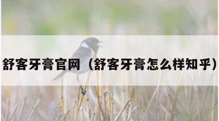 舒客牙膏官网（舒客牙膏怎么样知乎）