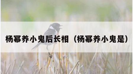 杨幂养小鬼后长相（杨幂养小鬼是）