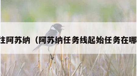 前往阿苏纳（阿苏纳任务线起始任务在哪里）
