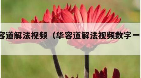 华容道解法视频（华容道解法视频数字一到15）