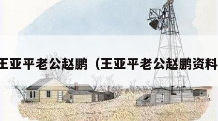 王亚平老公赵鹏（王亚平老公赵鹏资料）