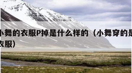 把小舞的衣服P掉是什么样的（小舞穿的是什么衣服）