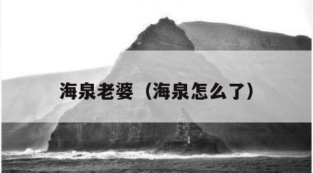 海泉老婆（海泉怎么了）