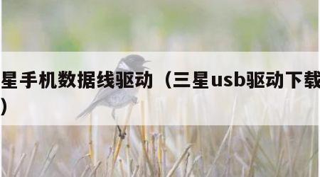三星手机数据线驱动（三星usb驱动下载安装）