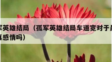 孤军英雄结局（孤军英雄结局车道宽对于晨露是真感情吗）