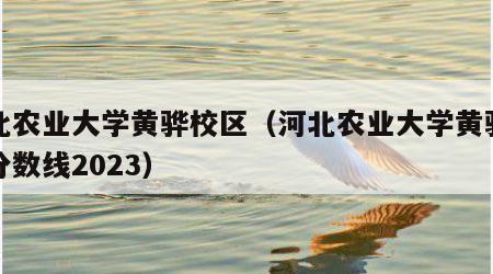河北农业大学黄骅校区（河北农业大学黄骅校区分数线2023）