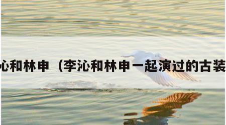 李沁和林申（李沁和林申一起演过的古装剧）