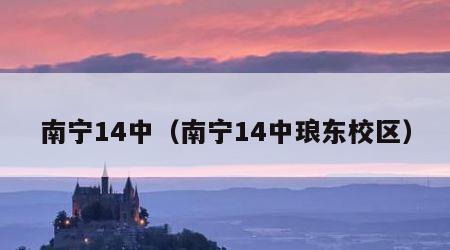 南宁14中（南宁14中琅东校区）