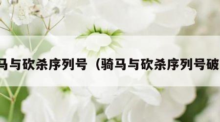 骑马与砍杀序列号（骑马与砍杀序列号破解）
