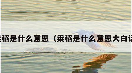 粜稻是什么意思（粜稻是什么意思大白话）