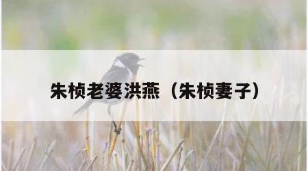 朱桢老婆洪燕（朱桢妻子）
