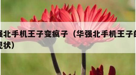 华强北手机王子变疯子（华强北手机王子的老婆现状）