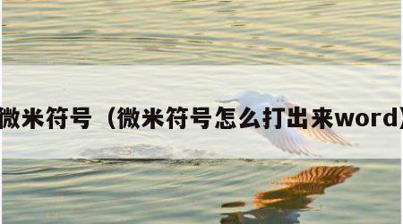 微米符号（微米符号怎么打出来word）