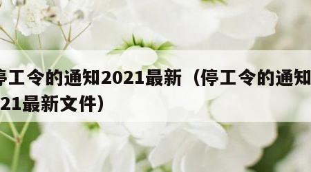 停工令的通知2021最新（停工令的通知2021最新文件）