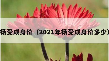 杨受成身价（2021年杨受成身价多少）