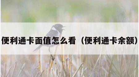 便利通卡面值怎么看（便利通卡余额）