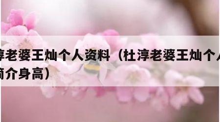 杜淳老婆王灿个人资料（杜淳老婆王灿个人资料简介身高）